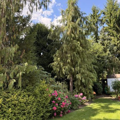 Einfamilienhaus Ahrensburg – Objektaufnahme