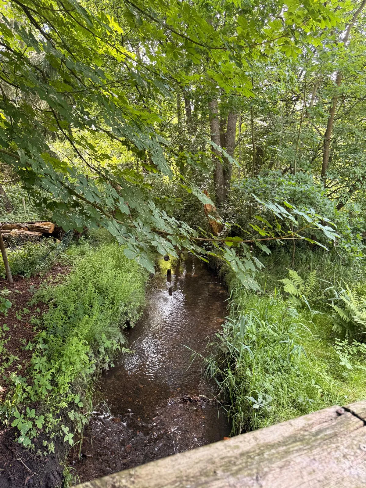 Baufortschritt Moorlage 1 – Aufnahme 39
